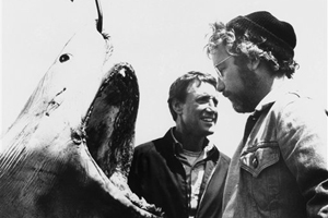 Jaws